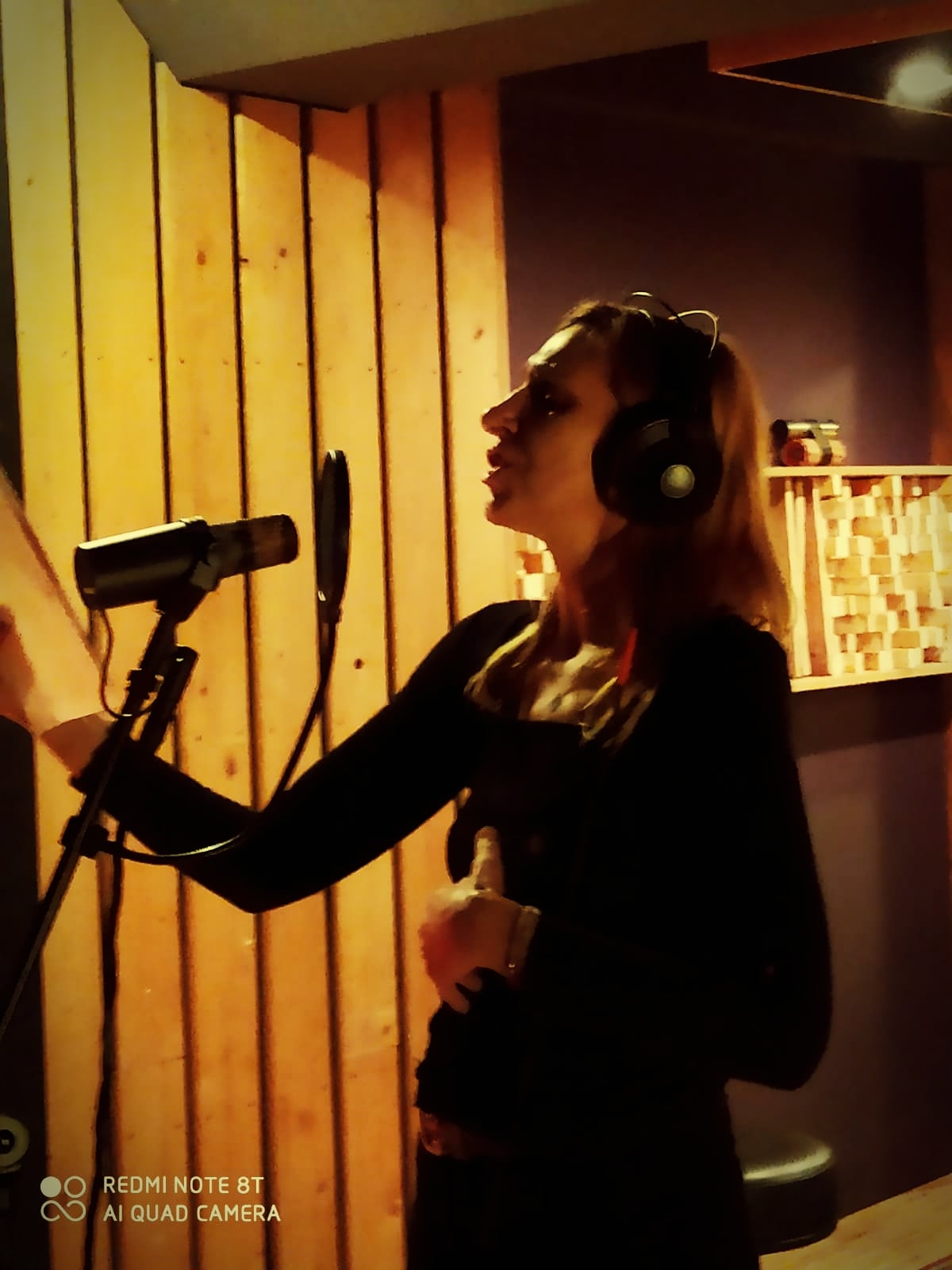 bine vocals2