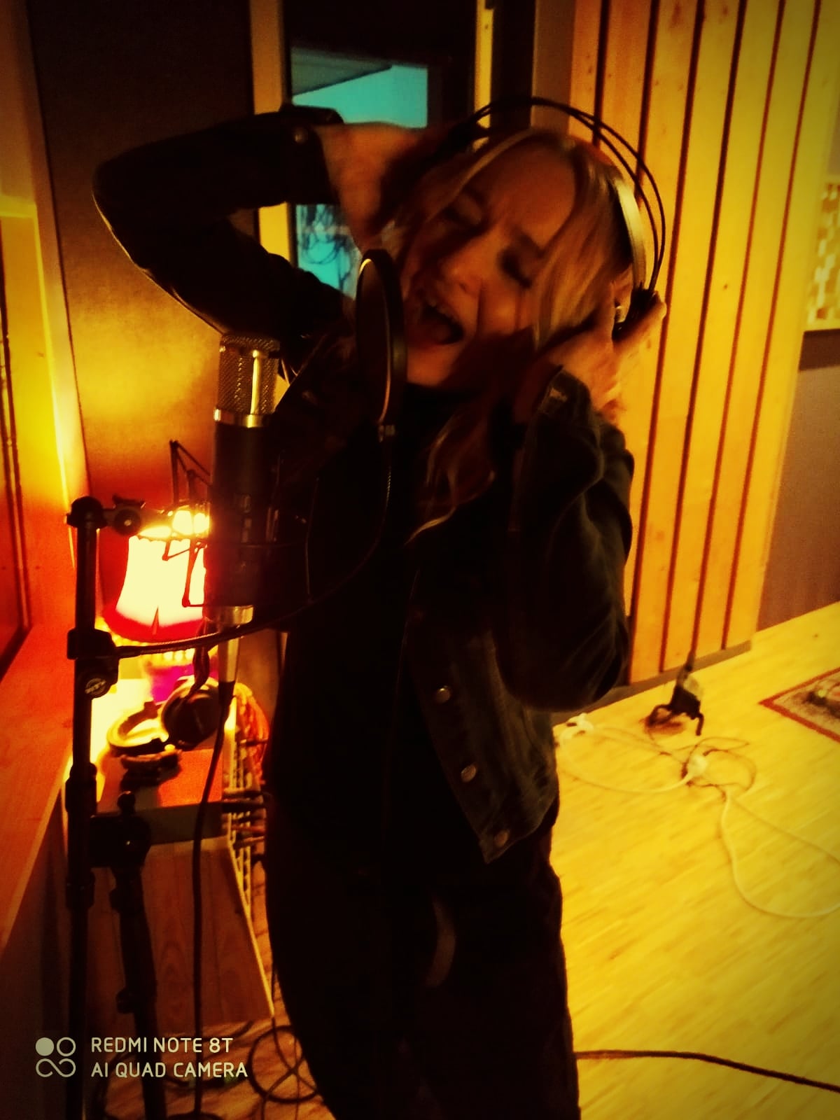 suse vocals 3